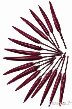 Gans - 5-8 cm - bordeaux